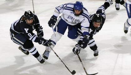 kaiyun app-森林狼球队配合默契度明显加强，森林狼队球迷