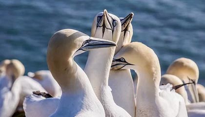 开云体育官网-成都兴城主场胜利,保持不败战绩,成都兴城足球俱乐部比赛直播