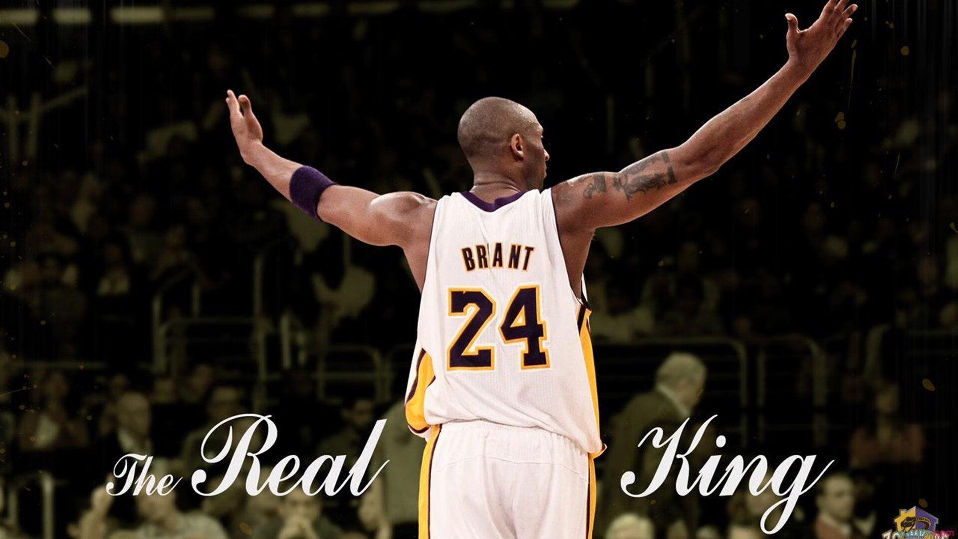 《勇士管理层评估球队阵容，考虑引援补强》，勇士主力队员名单